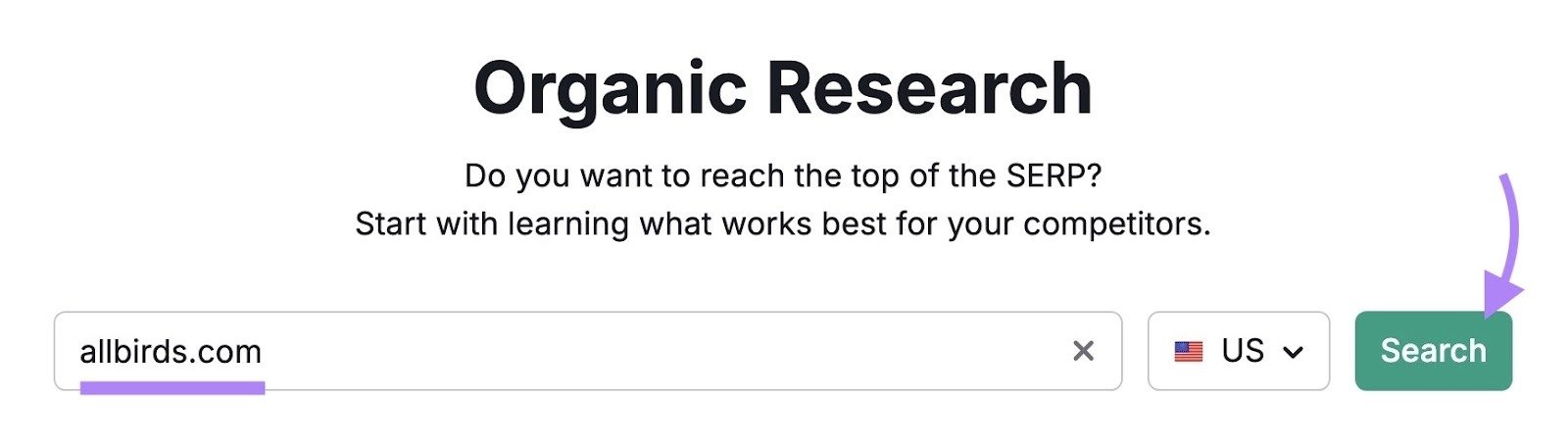 Organic Rankings tool start with "allbirds.com" entered as the domain and "Search" clicked.