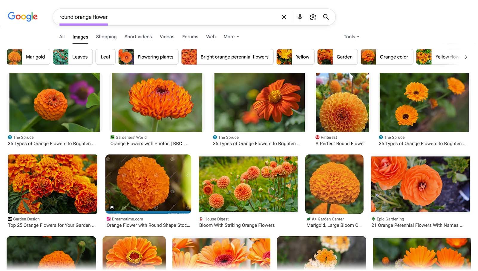 Google Images search page for &lsquo;round orange flower&rsquo; with various flower photos