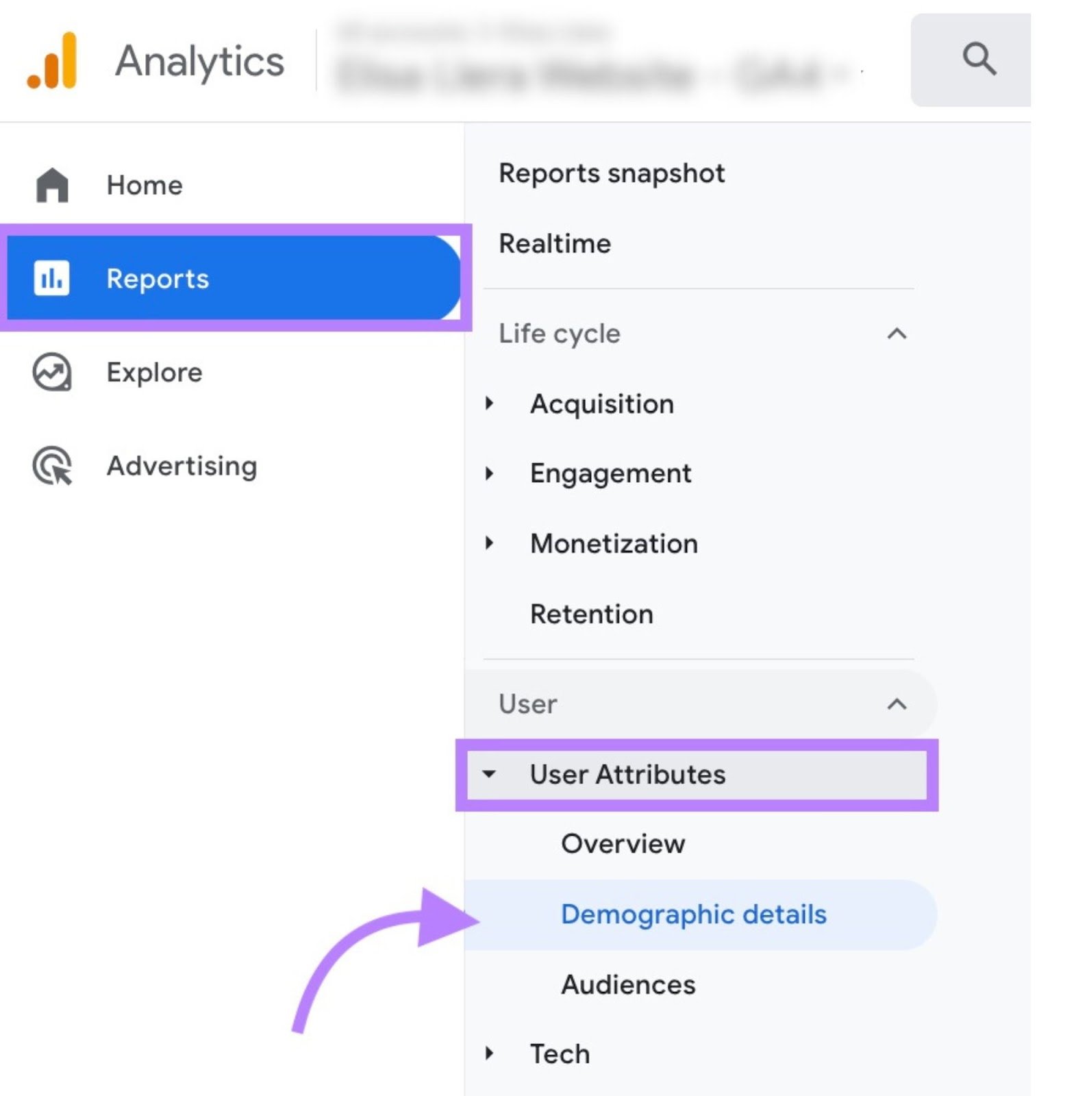 Navigating to &ldquo;Demographic details" in Google Analytics menu