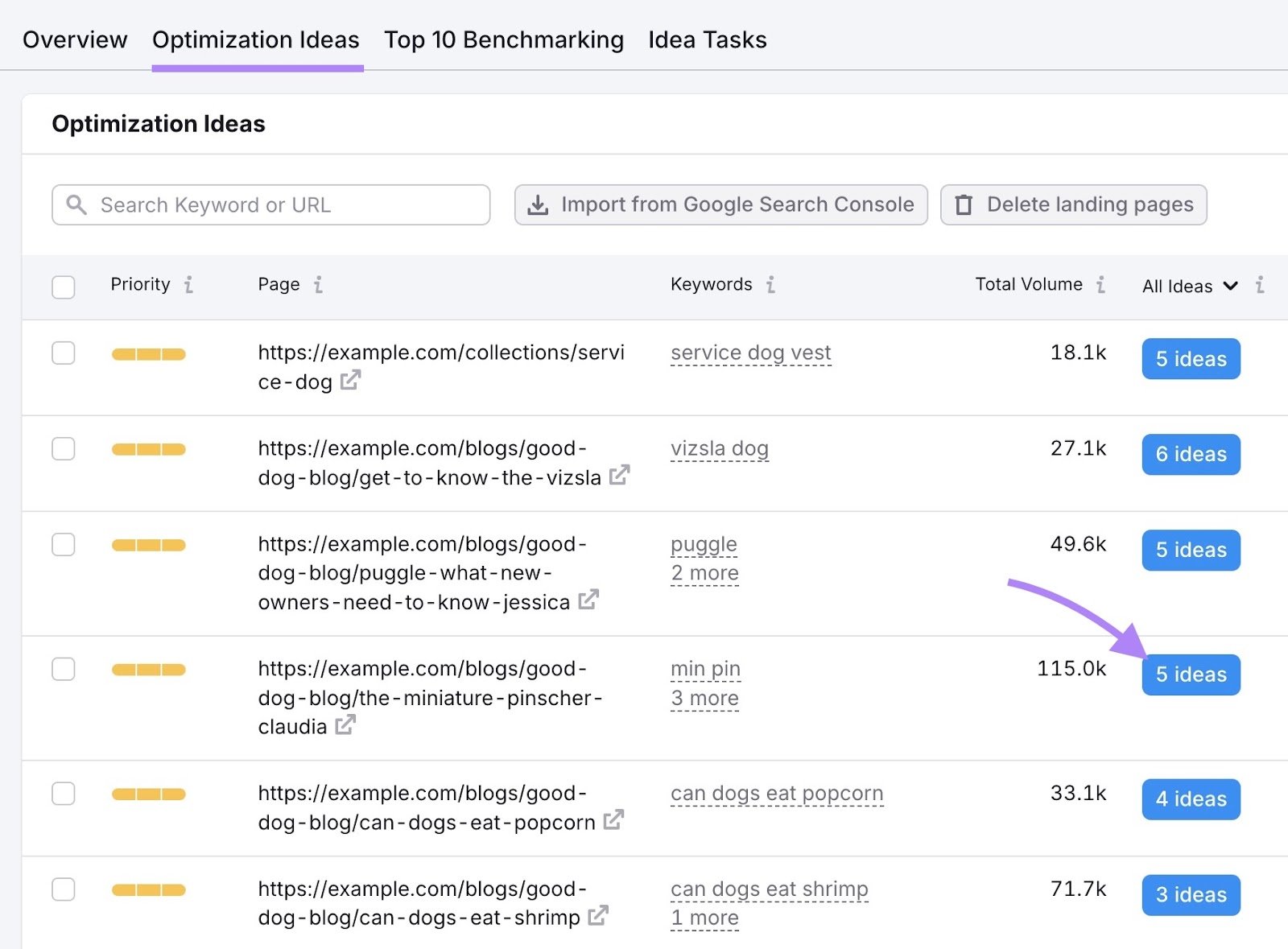 Optimization Ideas tab on the On Page SEO Checker with the "5 ideas" button next to a page clicked.