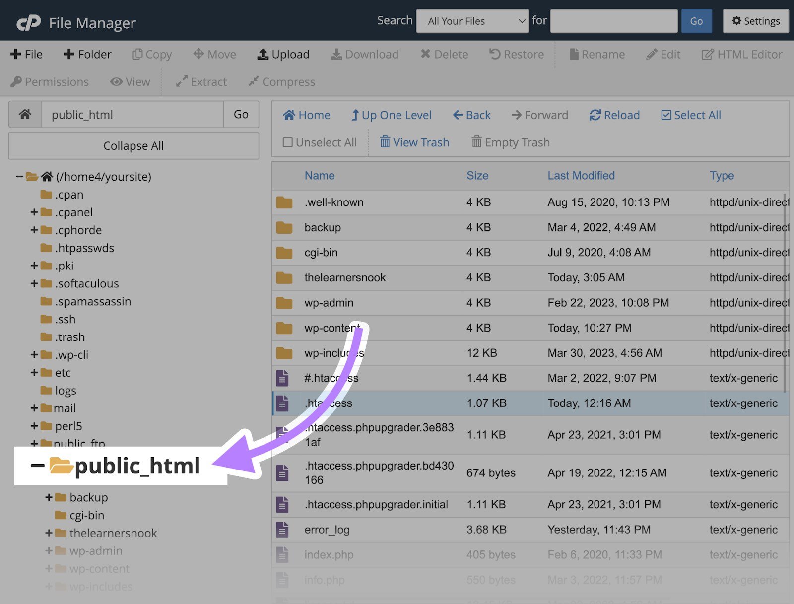 "public_html" selected from the left-hand side menu of the "File Manager" on cPanel.