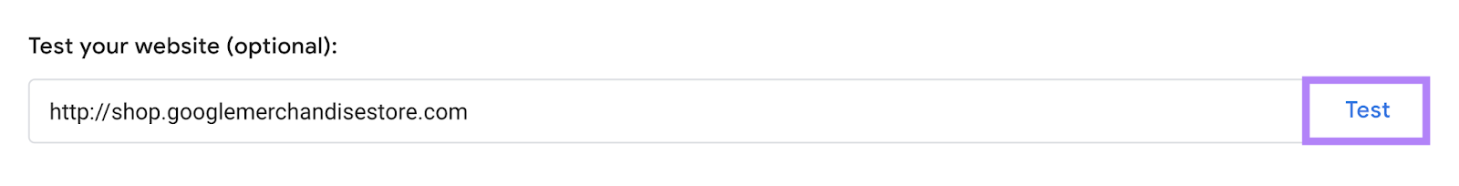 &ldquo;Test your website (optional)&rdquo; field