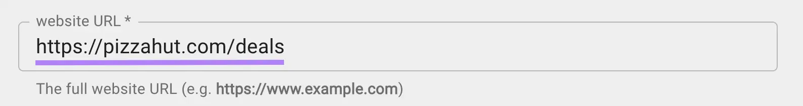 "website URL" field with a URL entered on Google&rsquo;s Campaign URL Builder