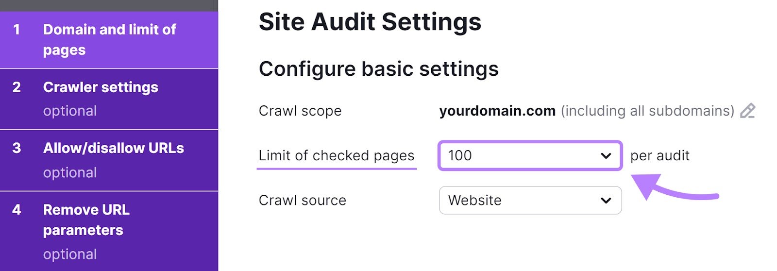 "100" pages set next to &ldquo;Limit of checked pages&rdquo; box