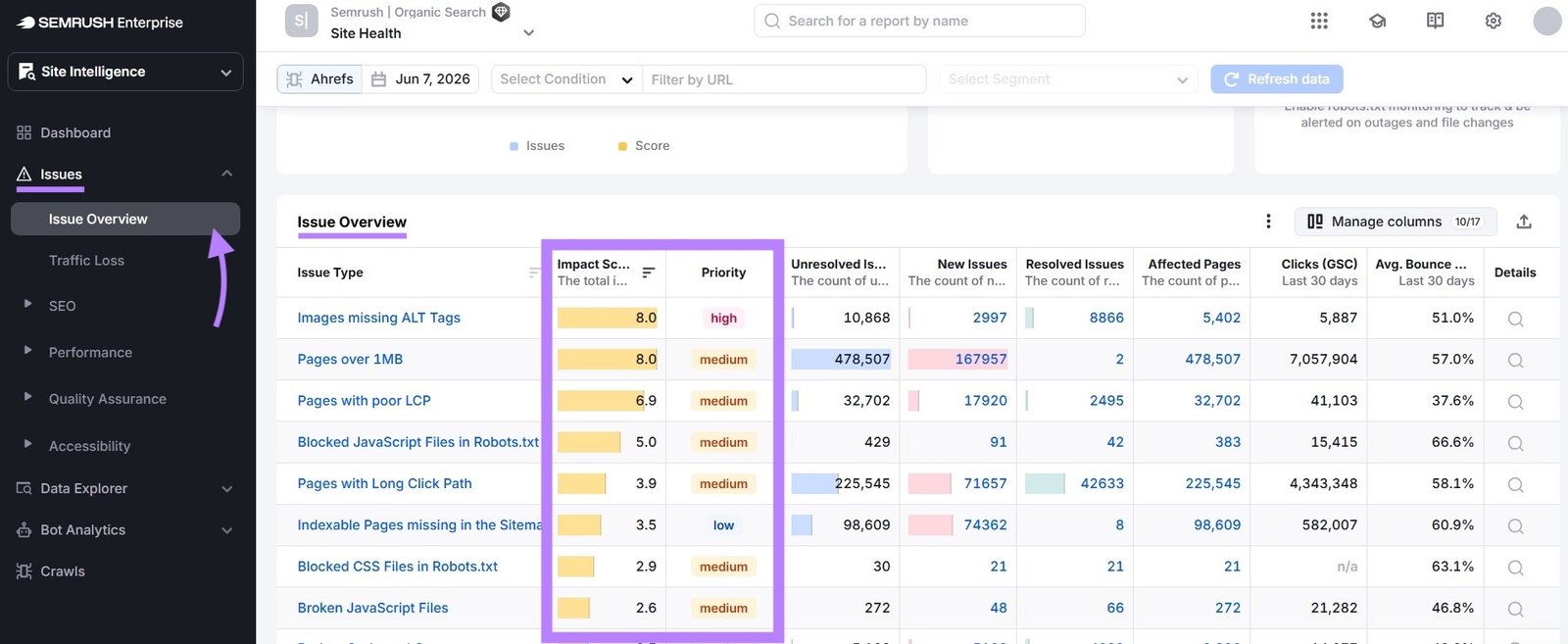 The Issue Overview report with the "Impact Score" and "Priority" columns highlighted.