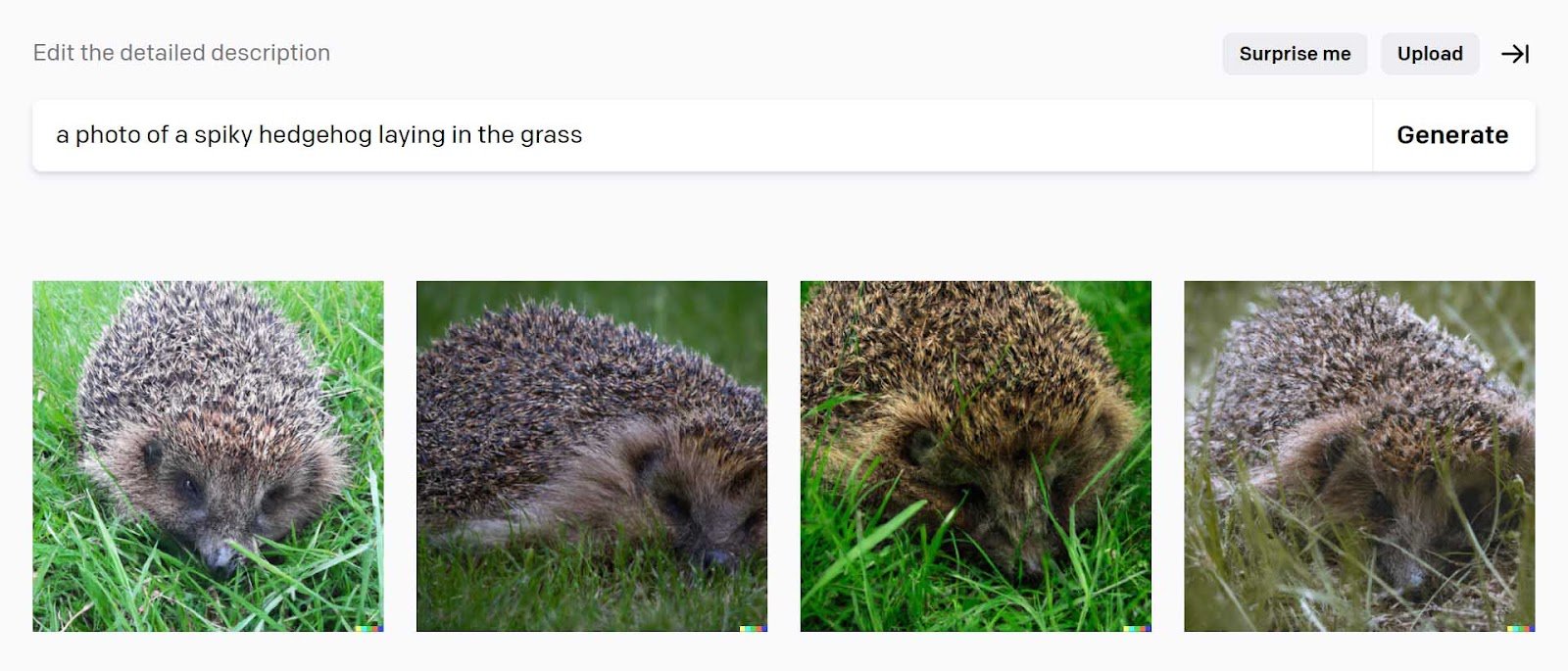 DALL-E 2's generated images for the “a photo of a spiky hedgehog laying in the grass” prompt