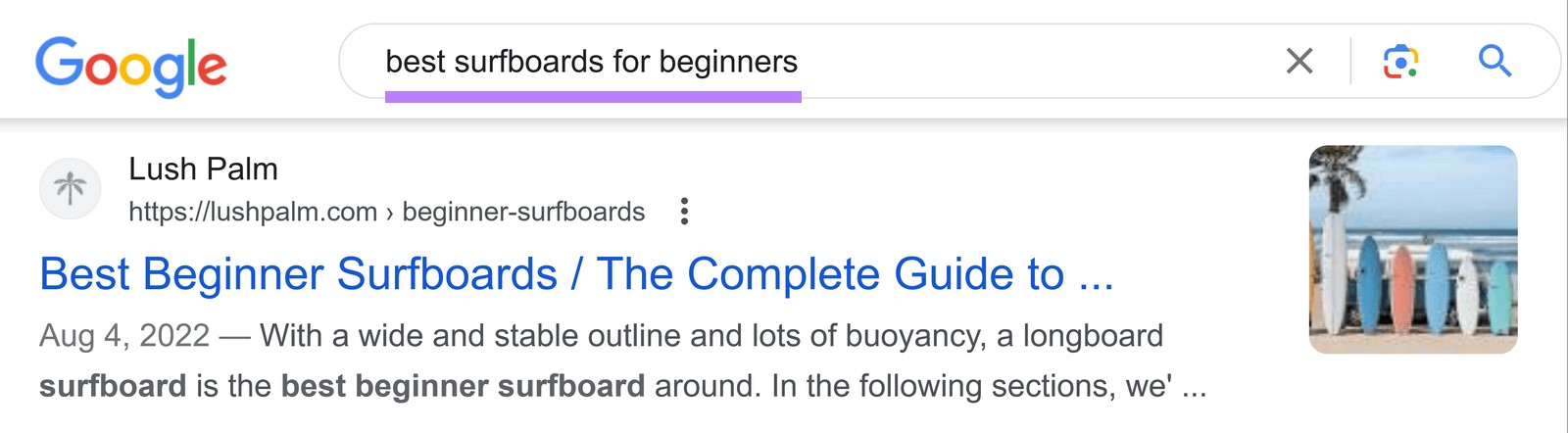 Google search results for &ldquo;best surfboards for beginners&rdquo; shows a post "Best Beginner Surfboards / The Complete Guide to..." by Lush Palm