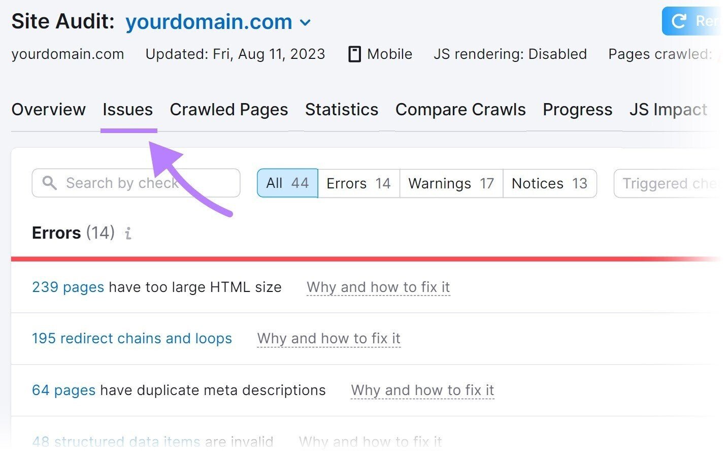 &ldquo;Issues&rdquo; tab in the Site Audit tool