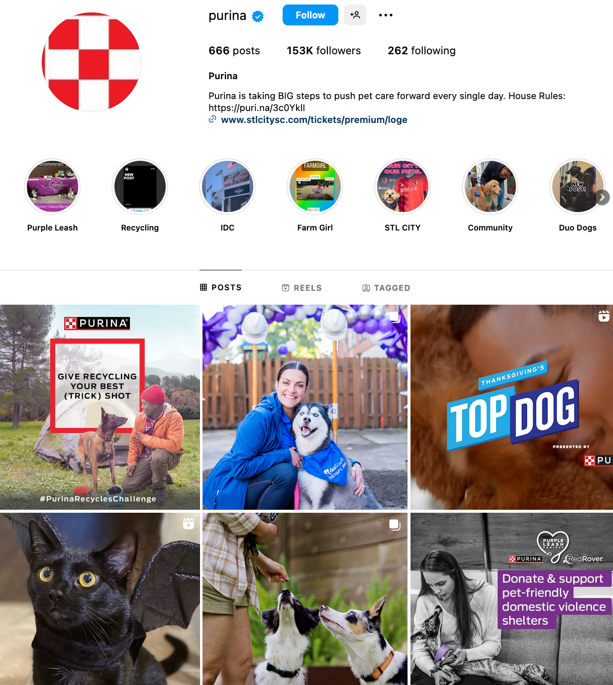 Purina&rsquo;s Instagram account