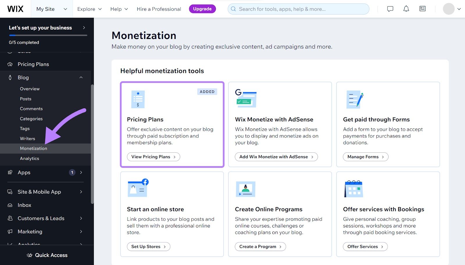 Wix's Monetization page