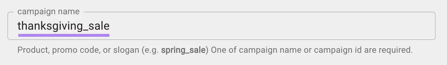 campaign name field with "thanksgiving_sale" entered on Google&rsquo;s Campaign URL Builder