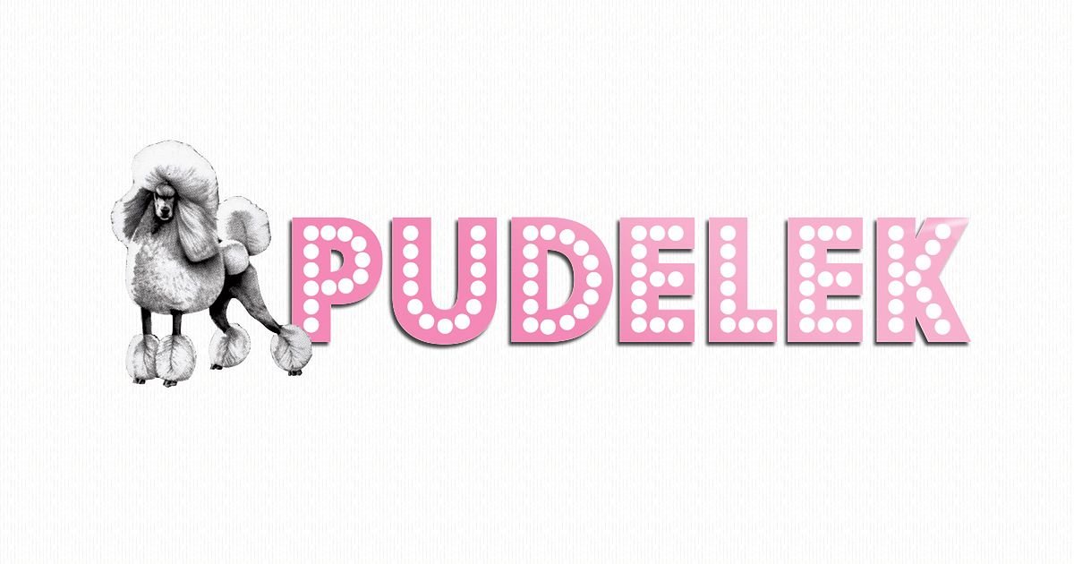 plejada.pl favicon